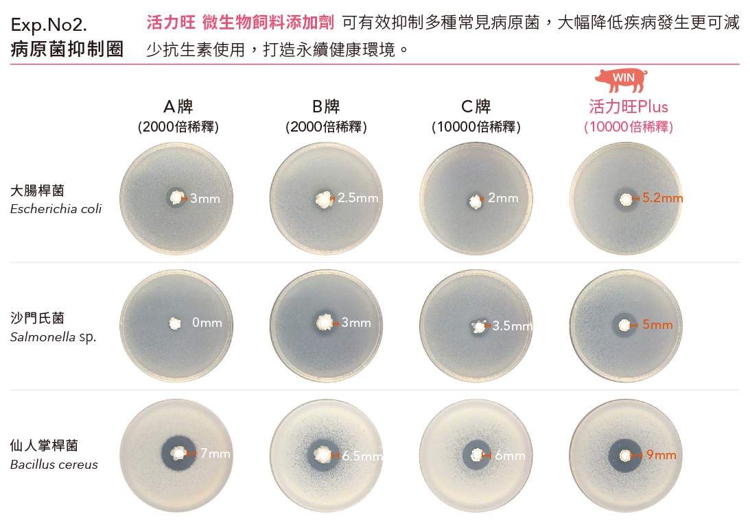 活力旺 家畜 微生物飼料添加劑 博堯生物科技股份有限公司bioyo Biotech